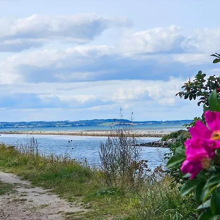 Дом отдыха 84101-ebeltoft-klokkegrund-8-b