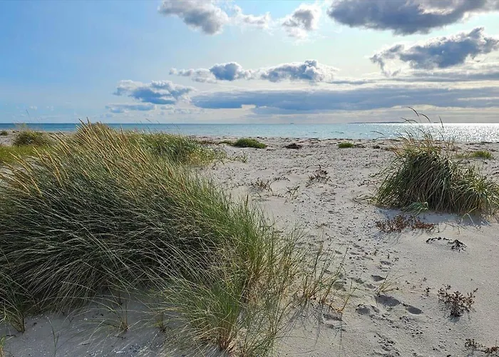 84101-ebeltoft-klokkegrund-8-b Holiday home